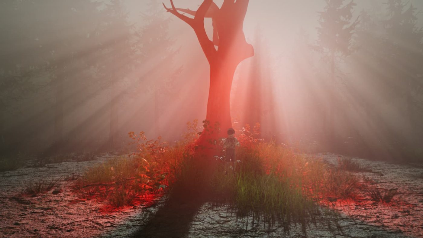 Slender: The Arrival