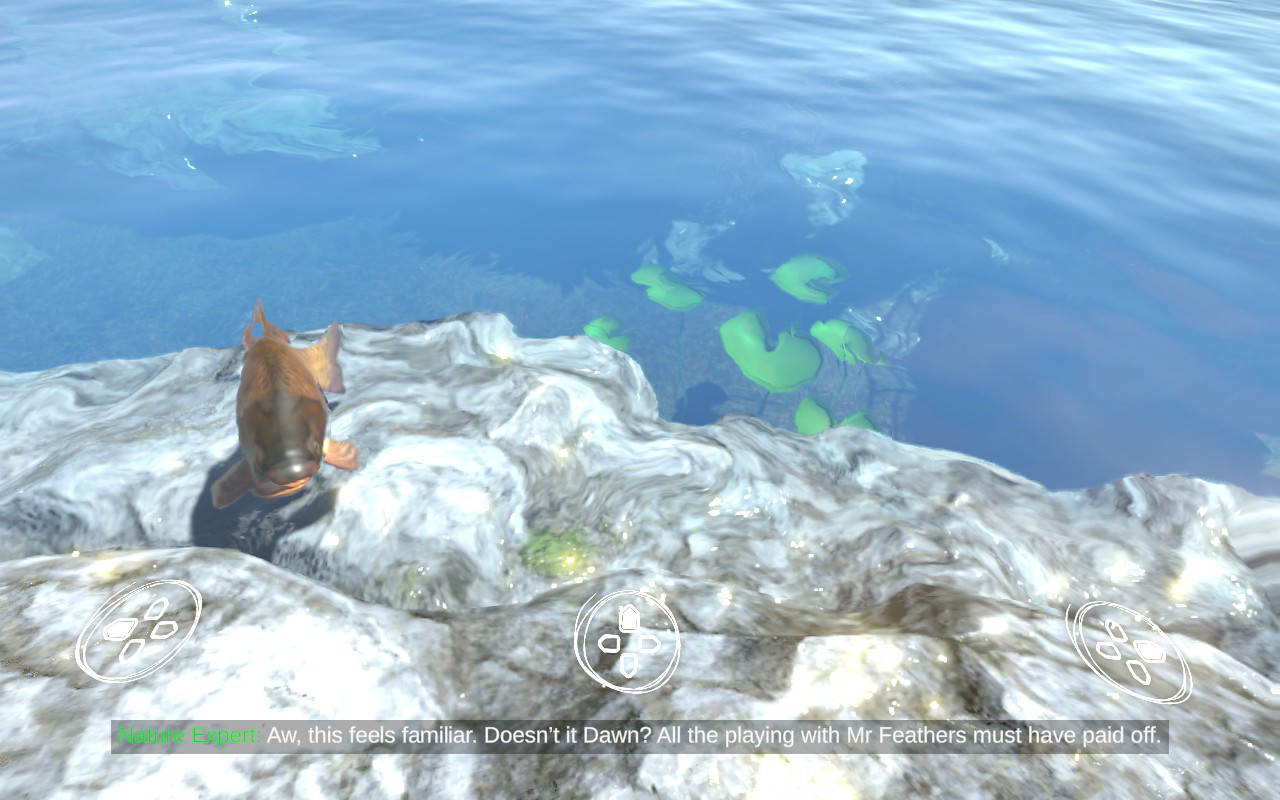 fishing