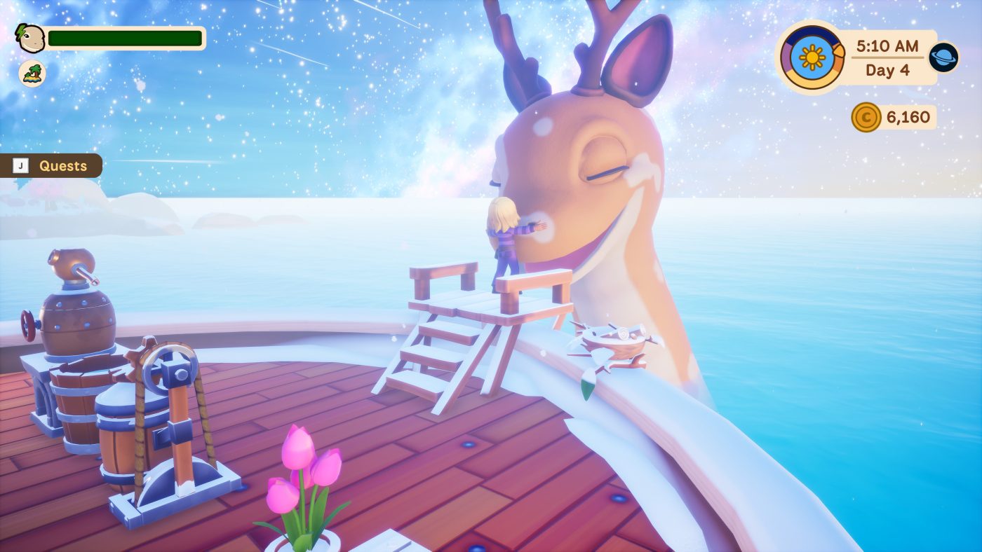 Collector’s Cove