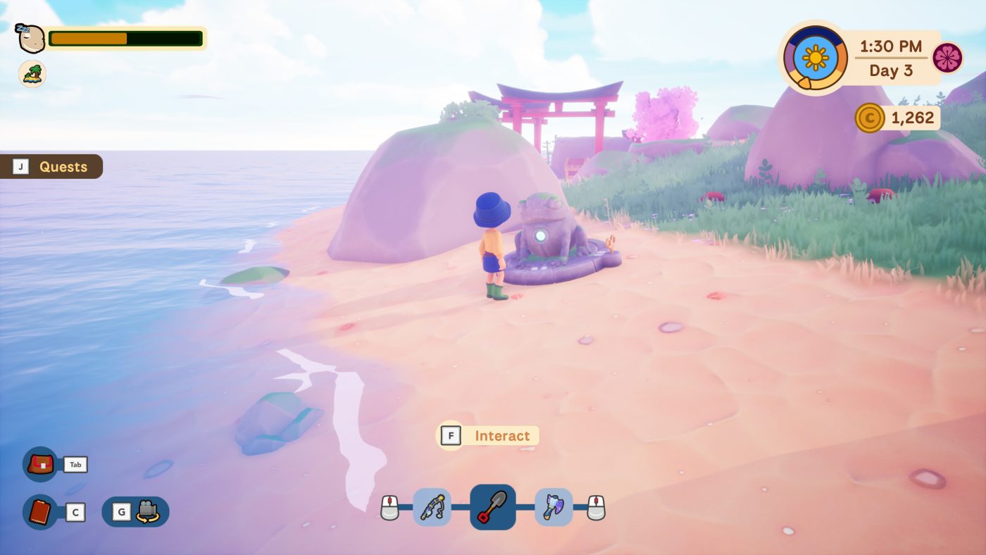 Collector’s Cove