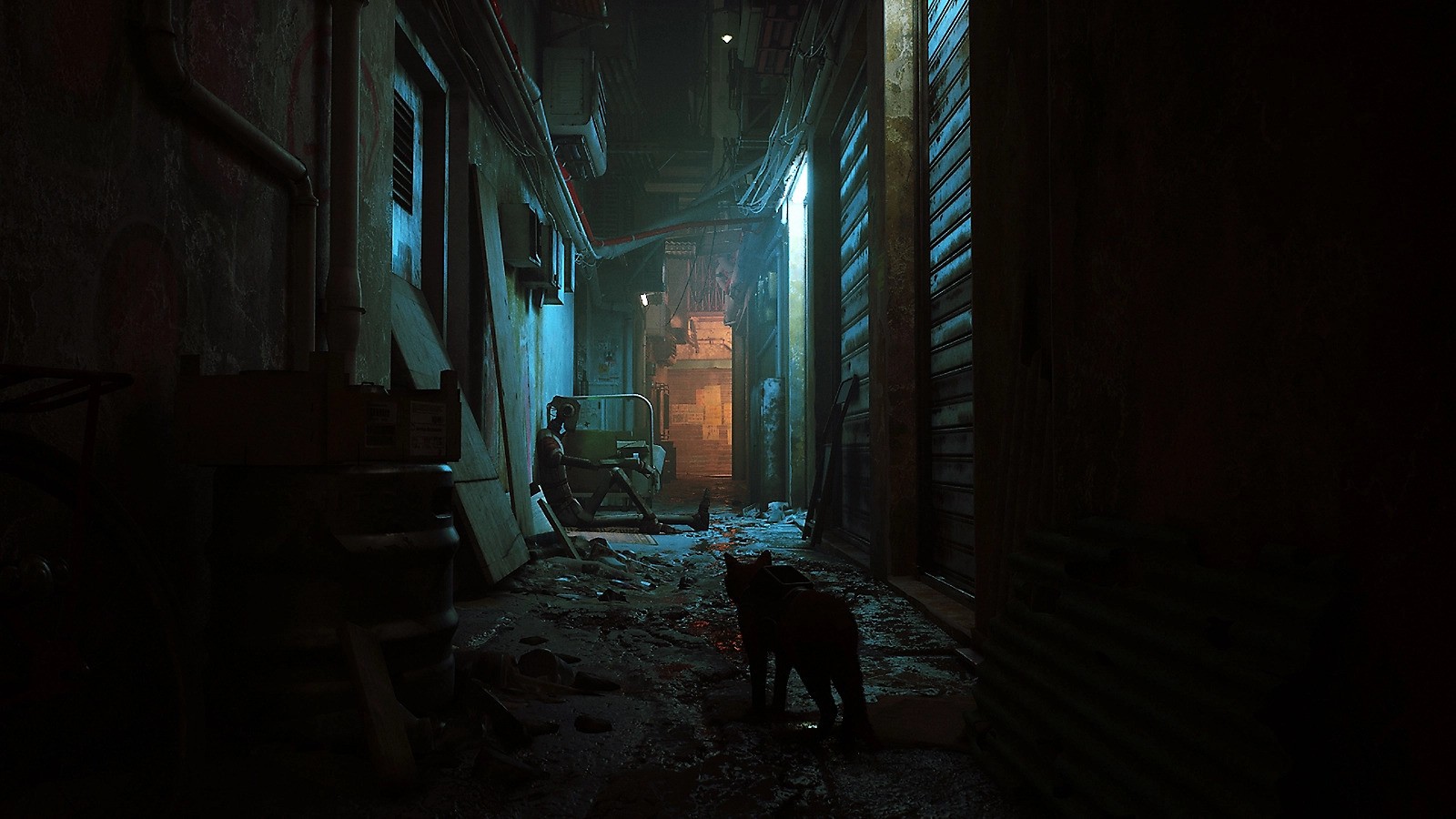 Stray developed by BlueTwelve Studio and published by Annapurna Interactive