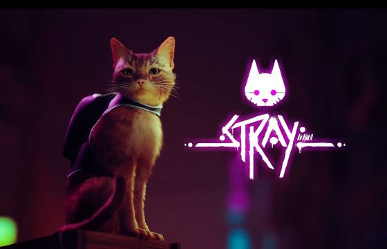 STRAY: All Cats are Grey in the Dark