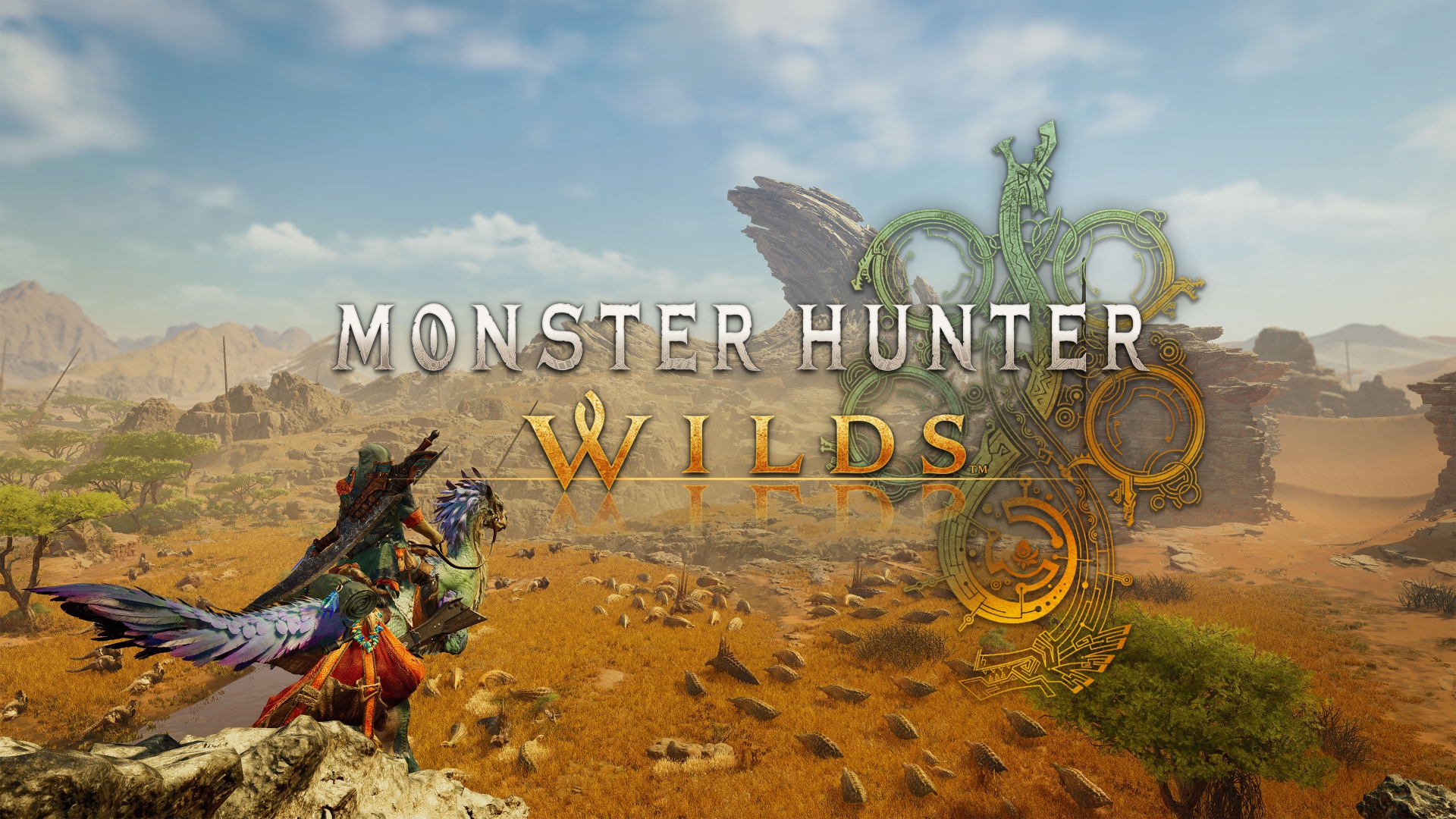 Interview, Monster Hunter: Rise