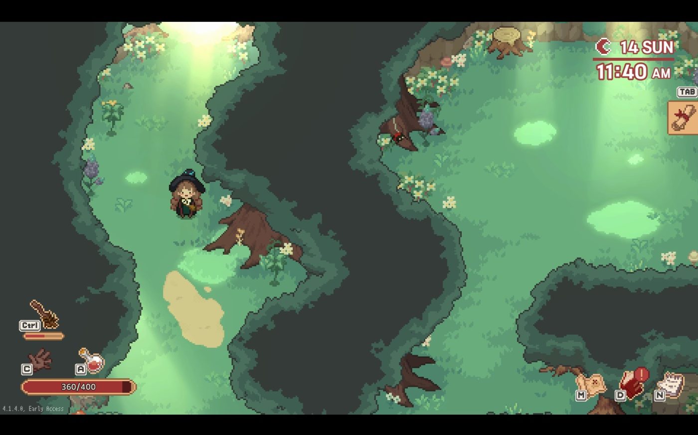 Little Witch in the Woods